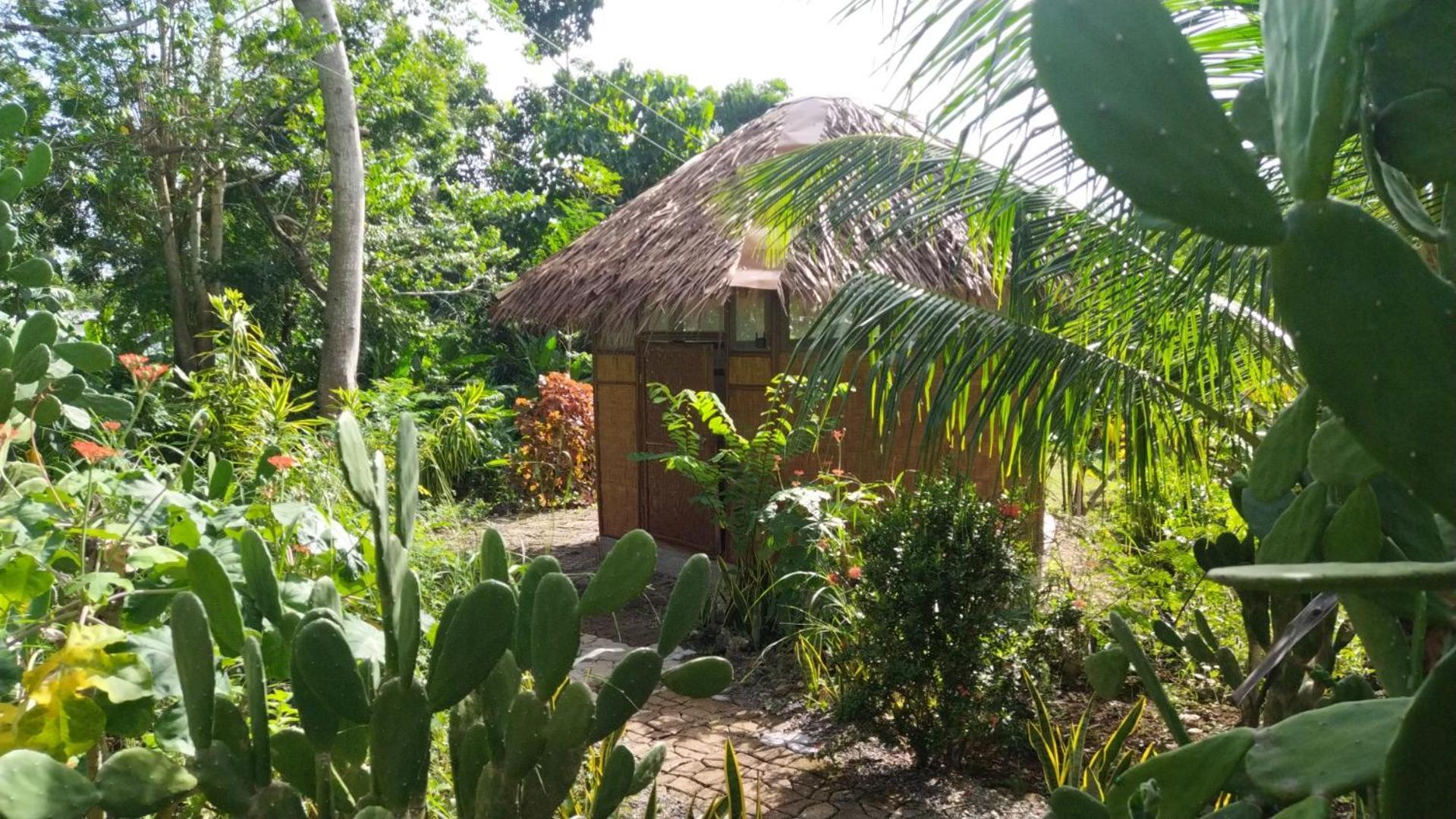 Little Nomads Eco-Guesthouse Siquijor Camera foto